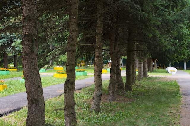 Образование летом: проект "Умный лагерь" (фото 7)