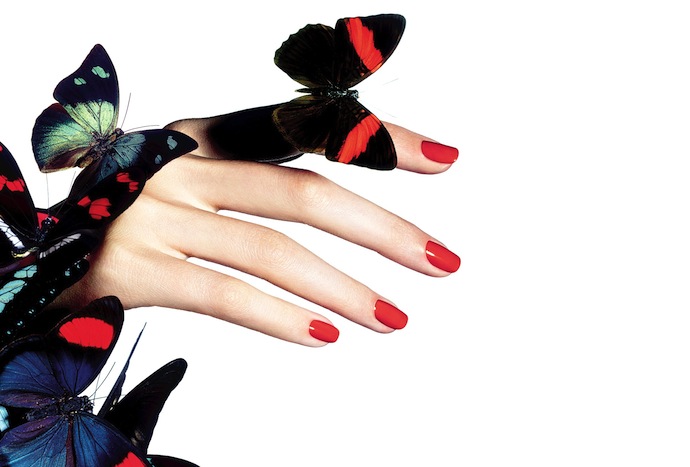 L'Ete Papillon5 L'Ete Papillon5