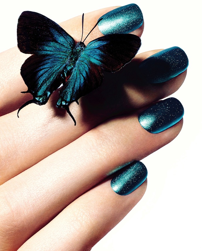 L'Ete Papillon4 L'Ete Papillon4