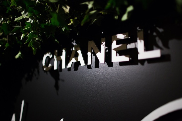 Выставка Chanel Numéros Privés: гости и атмосфера (фото 1)