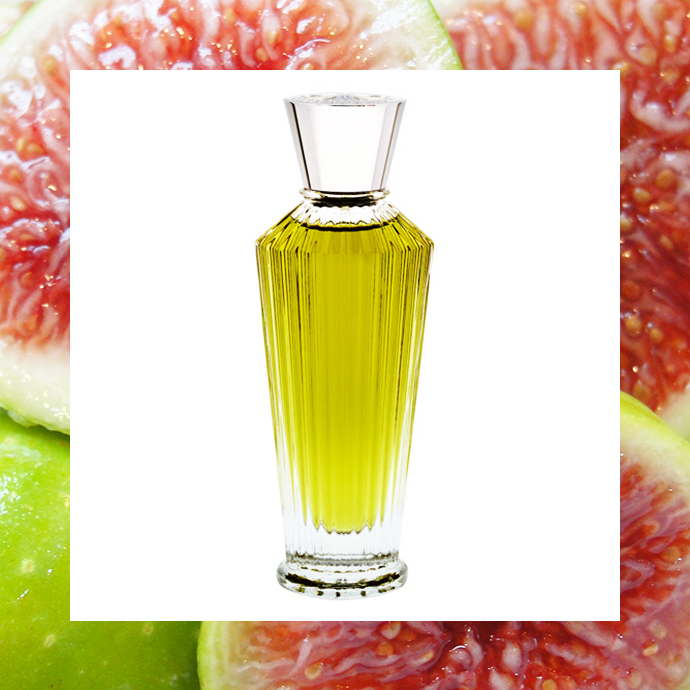 Neela Vermeire Creations, Ashoka Neela Vermeire Creations, Ashoka