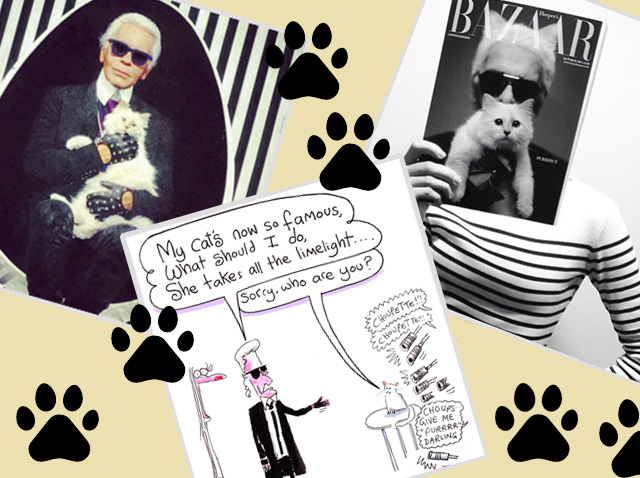 5 Instagram-аккаунтов самых знаменитых животных мира моды (фото 1)