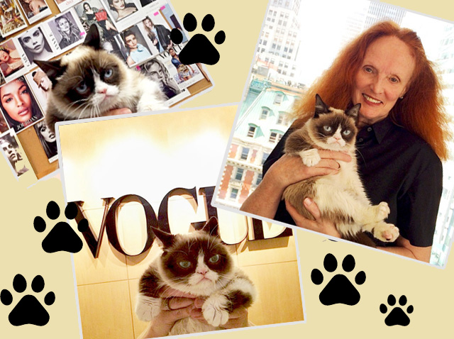 5 Instagram-аккаунтов самых знаменитых животных мира моды (фото 6)