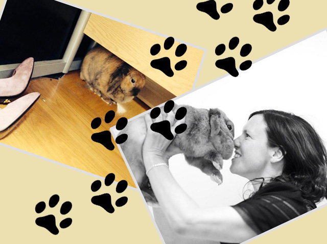 5 Instagram-аккаунтов самых знаменитых животных мира моды (фото 4)