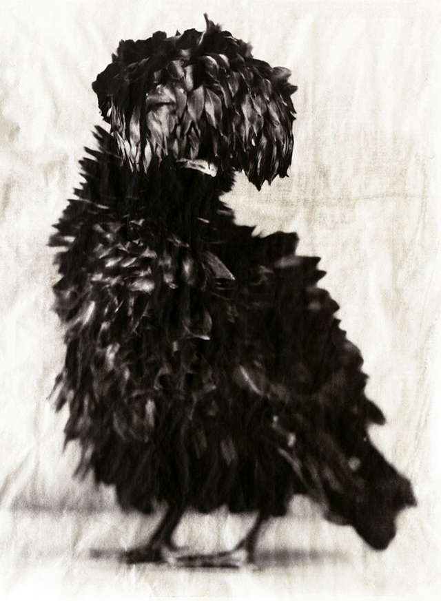 Chanel одарят искусством победителей кинофестиваля "Трайбека" (фото 4)