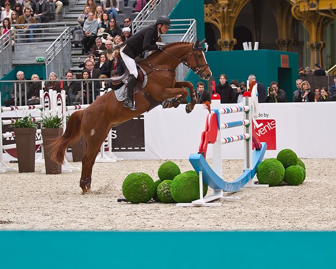 Скачки Saut Hermès в Париже (фото 9)