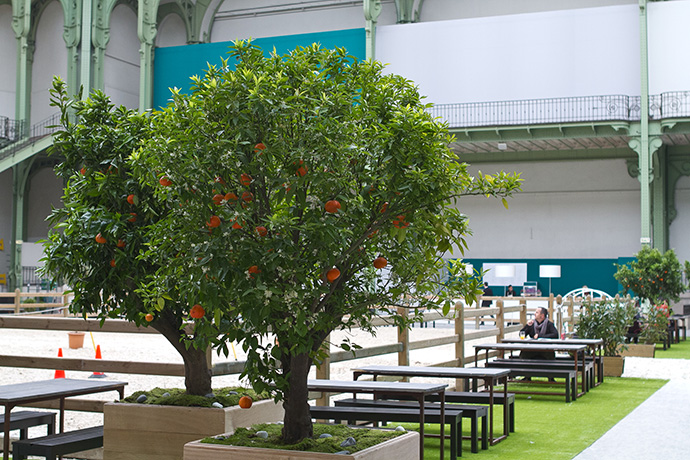 Скачки Saut Hermès в Париже (фото 11)