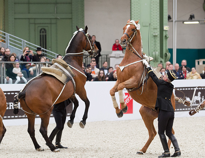 Скачки Saut Hermès в Париже (фото 8)