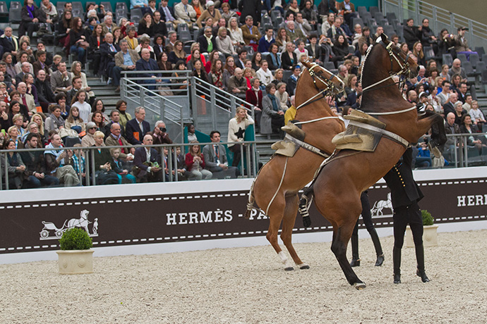 Скачки Saut Hermès в Париже (фото 10)