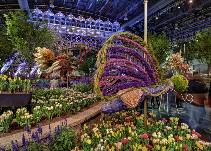 В Филадельфии стартует крупнейшая выставка цветов (фото 3)
