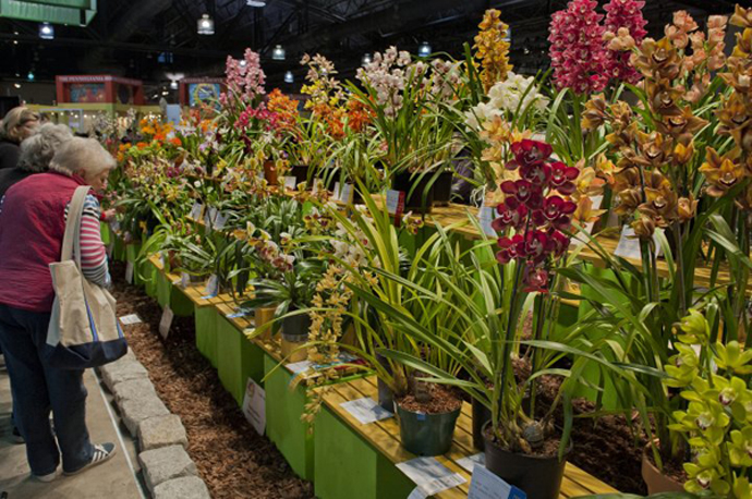 В Филадельфии стартует крупнейшая выставка цветов (фото 6)