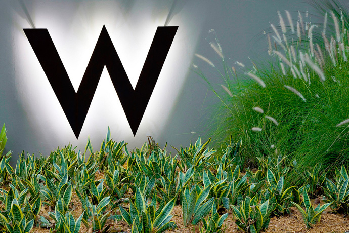 W Retreat&Spa: идеальный отдых на острове Вьекес (фото 28)