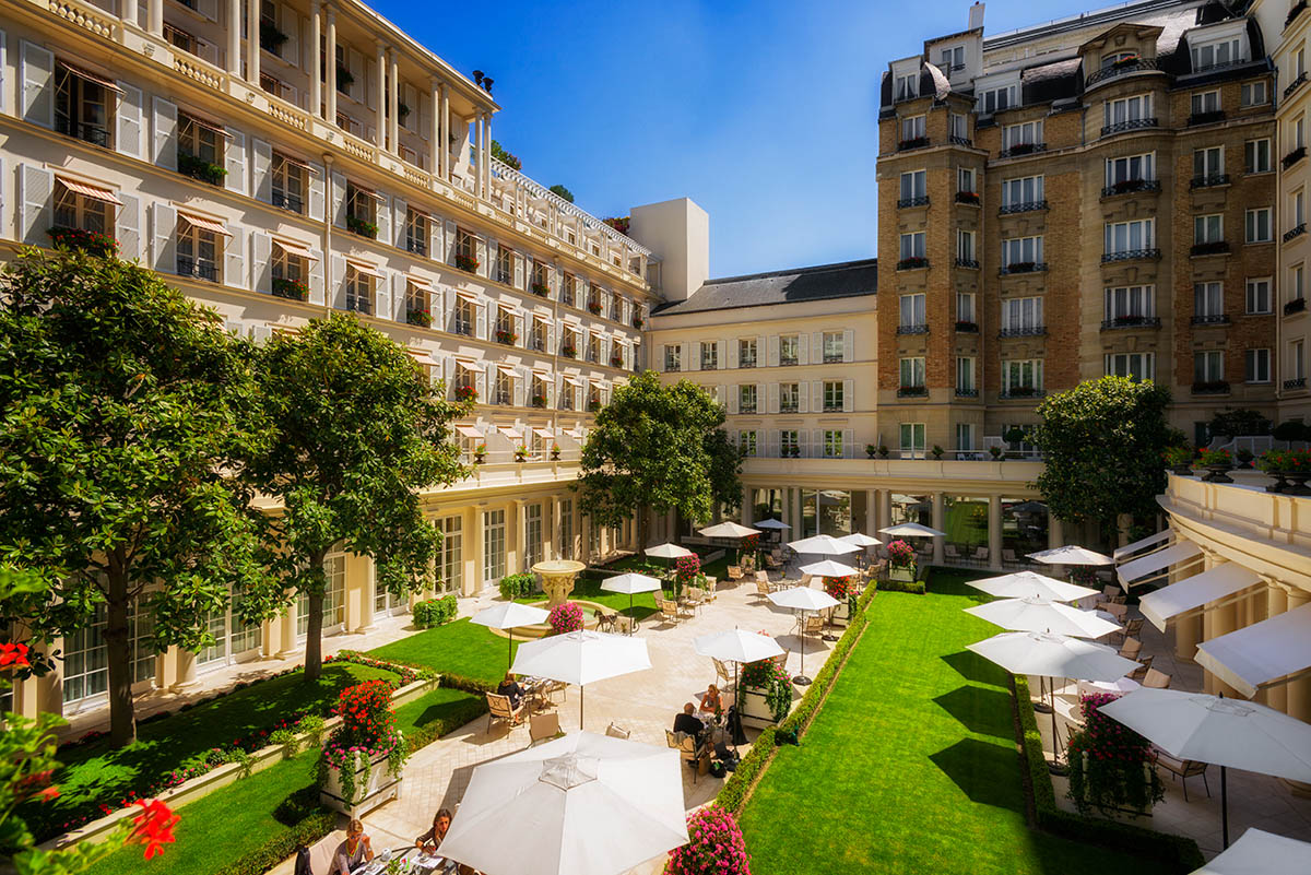 Кошки-жильцы 5-звездочных отелей (фото 4)