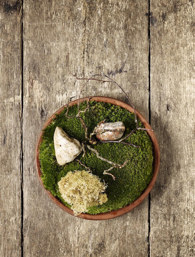 Ресторан Noma в Копенгагене открылся после ремонта (фото 8)