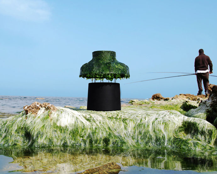 Лампы с водорослями от Nir Meiri (фото 5)