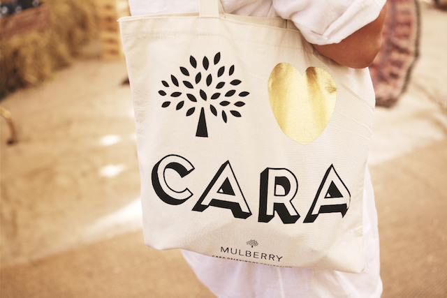 Светский пикник Mulberry и Кары Делевинь (фото 7)