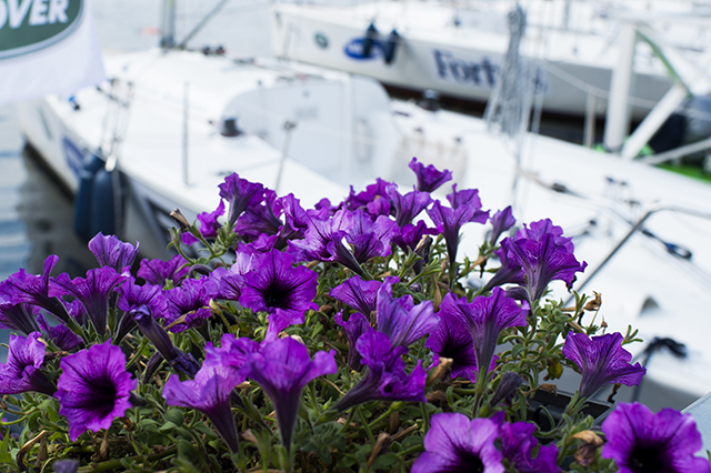 Поднять паруса: гонка журналистов на регате PROyachting (фото 10)