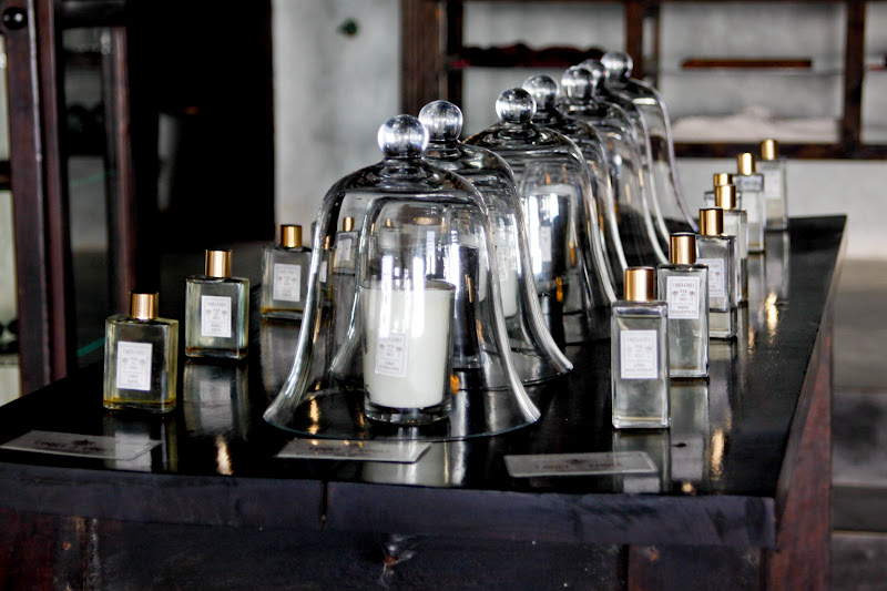 Отель The Coqui Coqui в Мериде (фото 15)