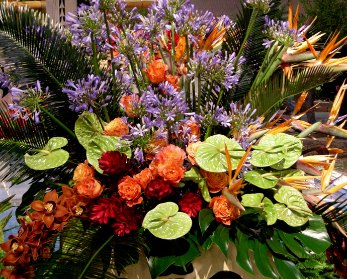 В Филадельфии стартует крупнейшая выставка цветов (фото 7)