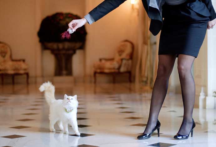 Fa-Raon, Hotel Bristol Paris