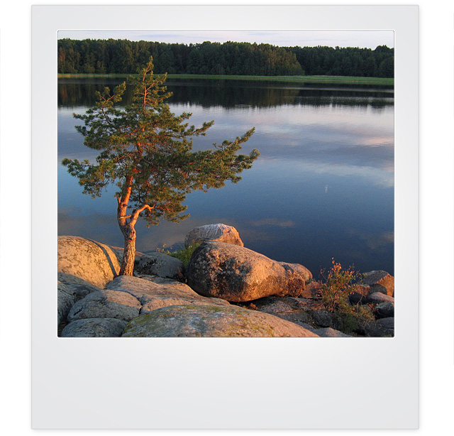 В "городе N": гид по литературным местам России (фото 2)