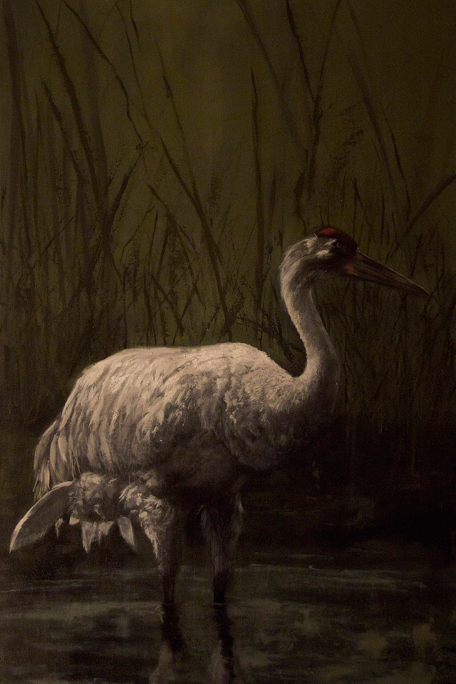 Брук Шилдс стала куратором арт-шоу Call of the Wild (фото 2)