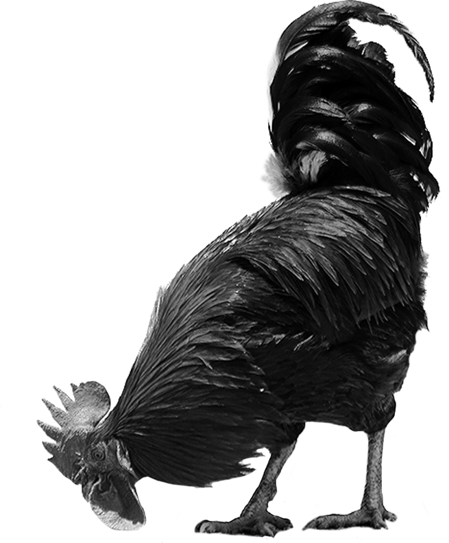 Жизнь — театр! А какая постановка развернется в вашей собственной квартире? (фото 26)