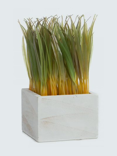 21 сюрприз, который можно сделать любимым и близким в самоизоляции (фото 19)