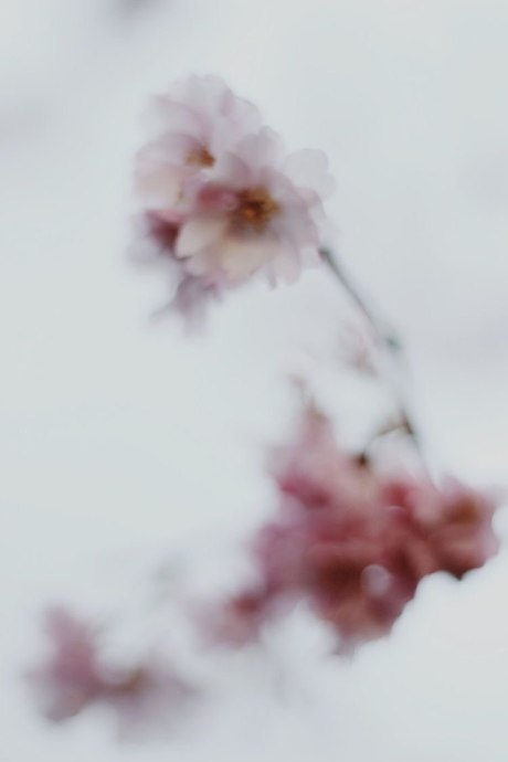 Поздравление Лиде (фото 27)