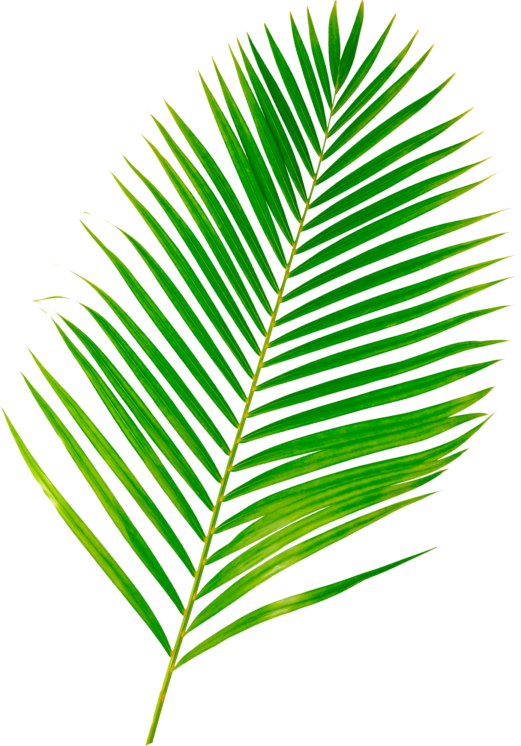 Colgate-mockup (фото 14)