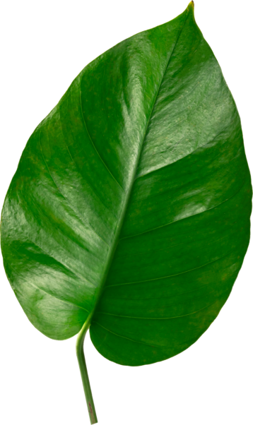 Colgate-mockup (фото 9)