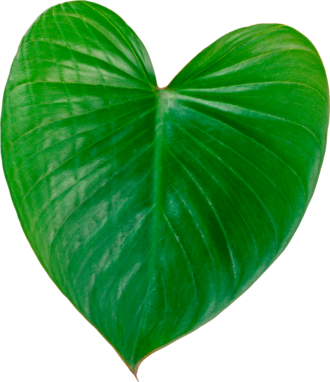 Colgate-mockup (фото 3)