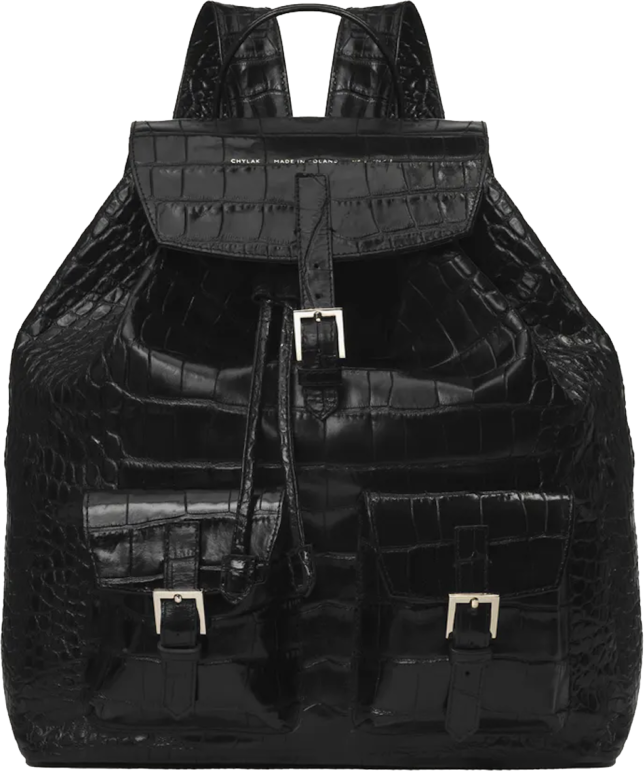 Идеальный рюкзак для города — какой он? Выбираем с Юлей Катькало (фото 17)