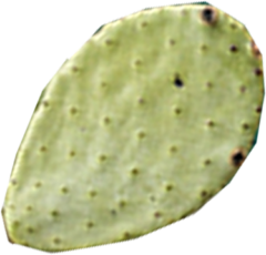 Бережные практики, которые помогут сделать переходный сезон комфортным (фото 2)