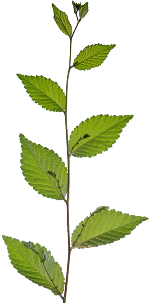 Бережные практики, которые помогут сделать переходный сезон комфортным (фото 31)