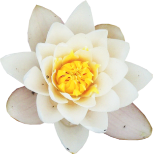 Бережные практики, которые помогут сделать переходный сезон комфортным (фото 27)