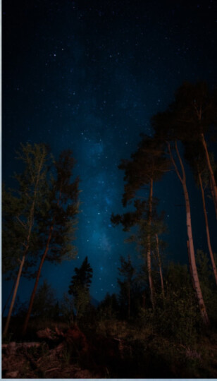 Я только спросить: как правильно спать? (фото 21)