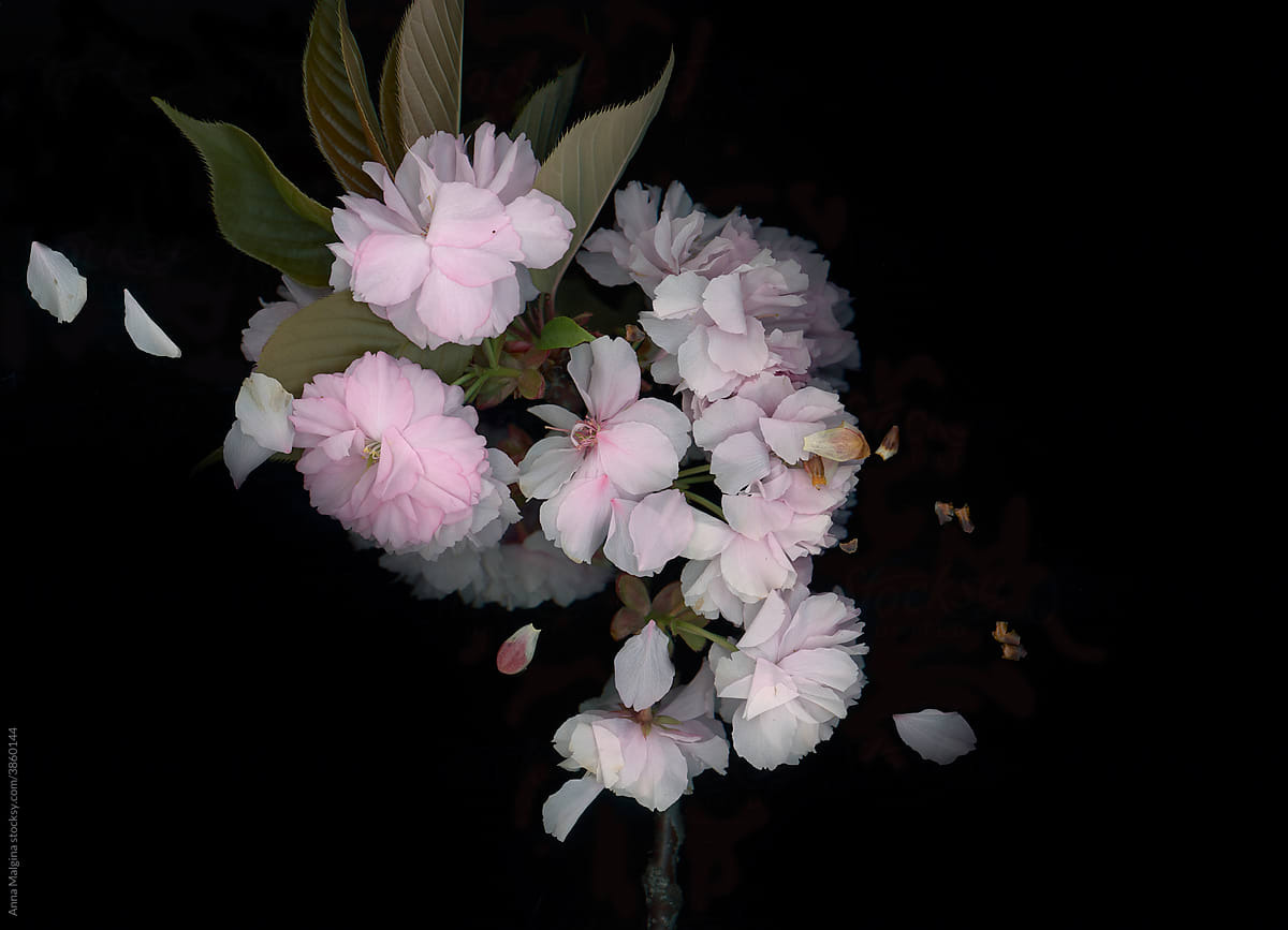 Итальянские каникулы в Москве: от пасты до Феллини (фото 5)