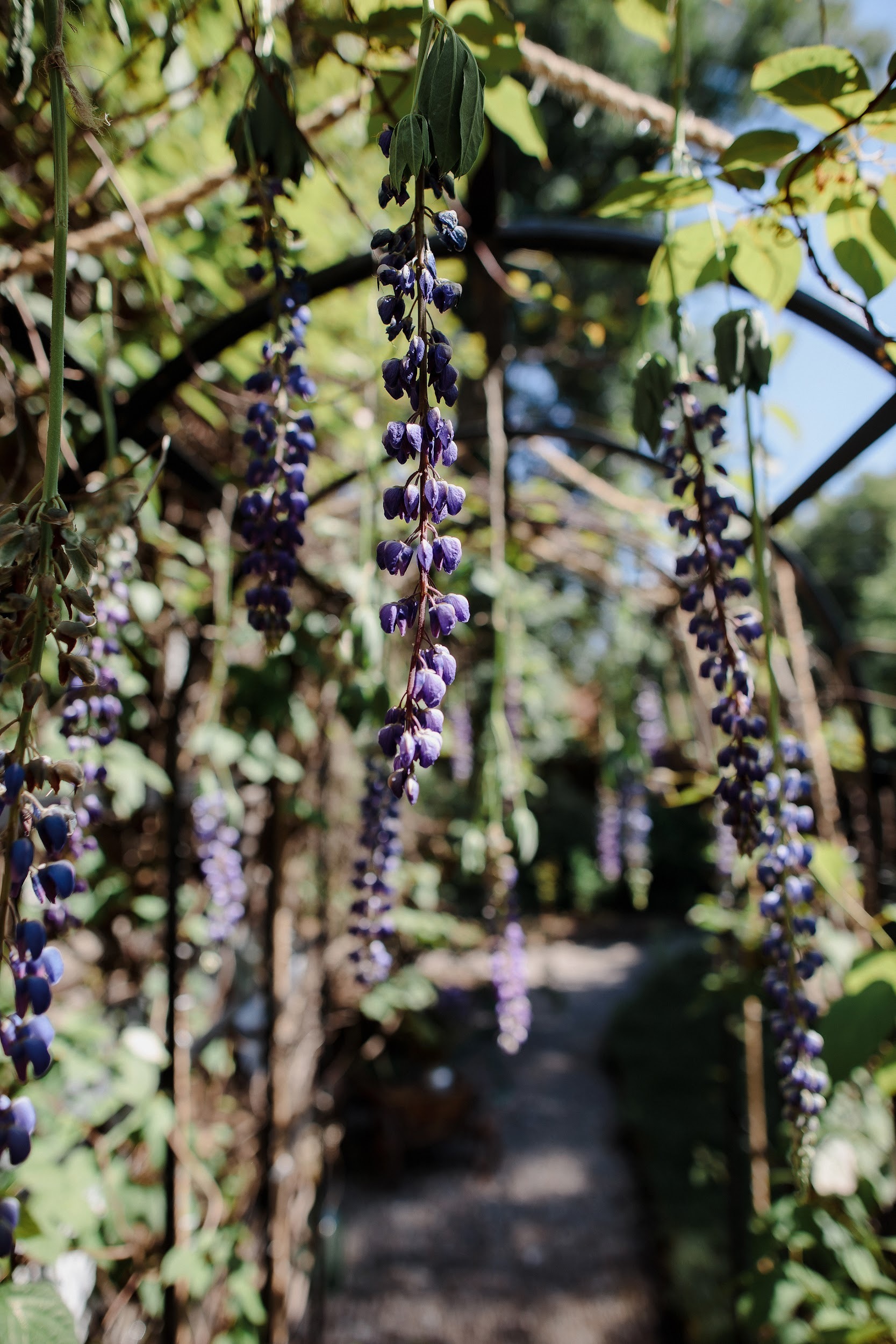 Куда поехать, что увидеть: сад и дом-музей Ракицкого в Тарусе (фото 17)