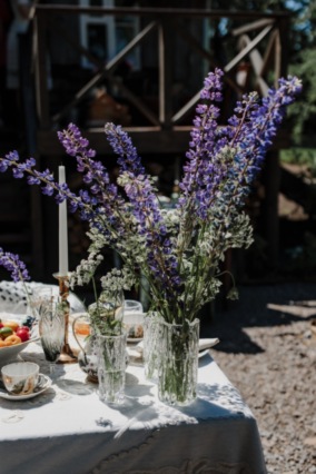 Куда поехать, что увидеть: сад и дом-музей Ракицкого в Тарусе (фото 14)