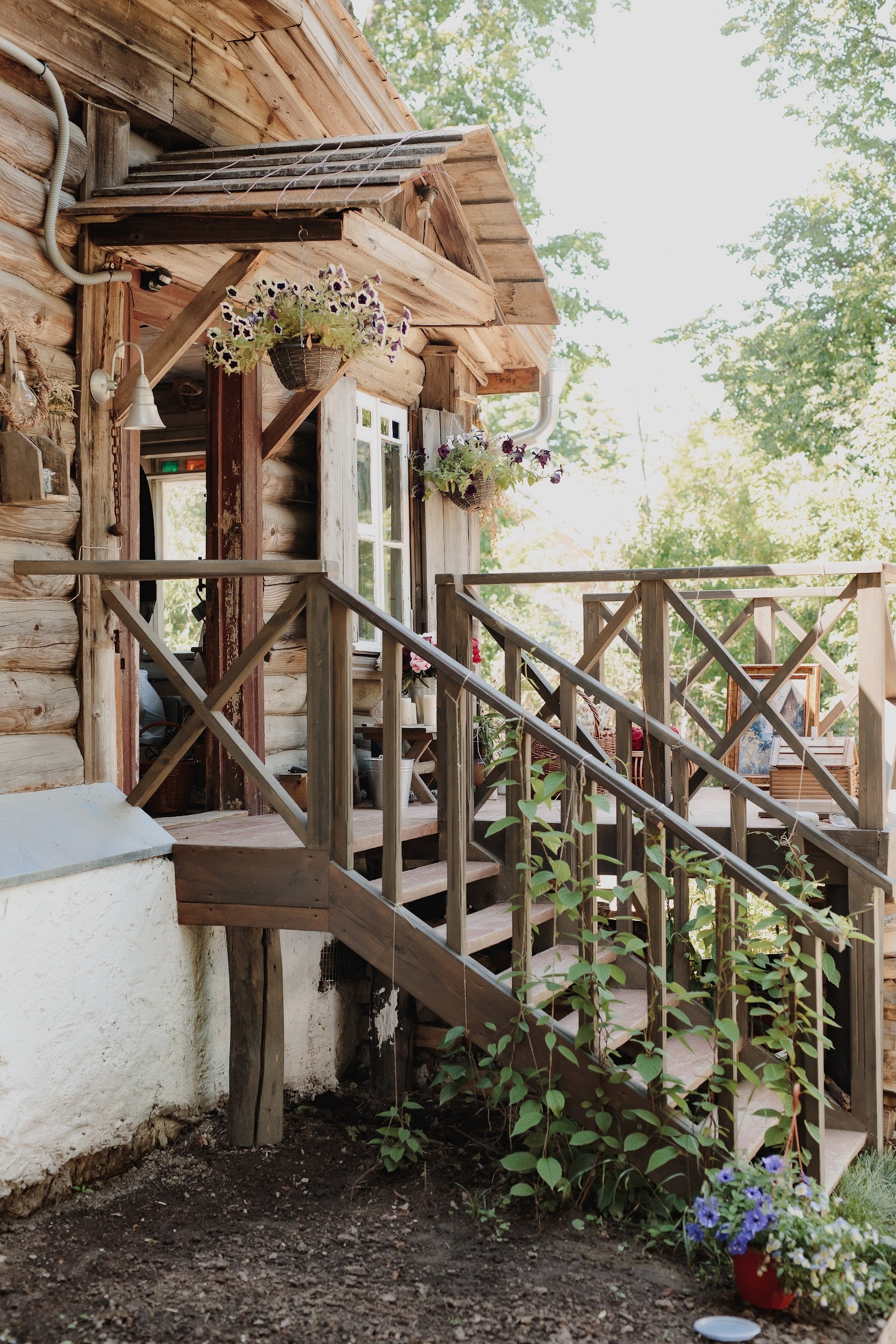 Куда поехать, что увидеть: сад и дом-музей Ракицкого в Тарусе (фото 21)