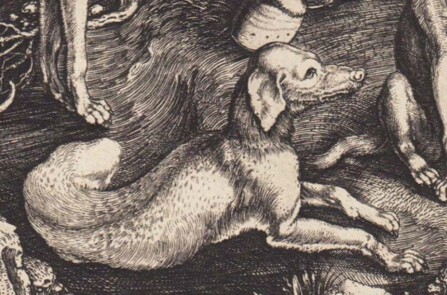 Игра: угадайте художника — Дмитрий Плавинский или Альбрехт Дюрер? (фото 7)