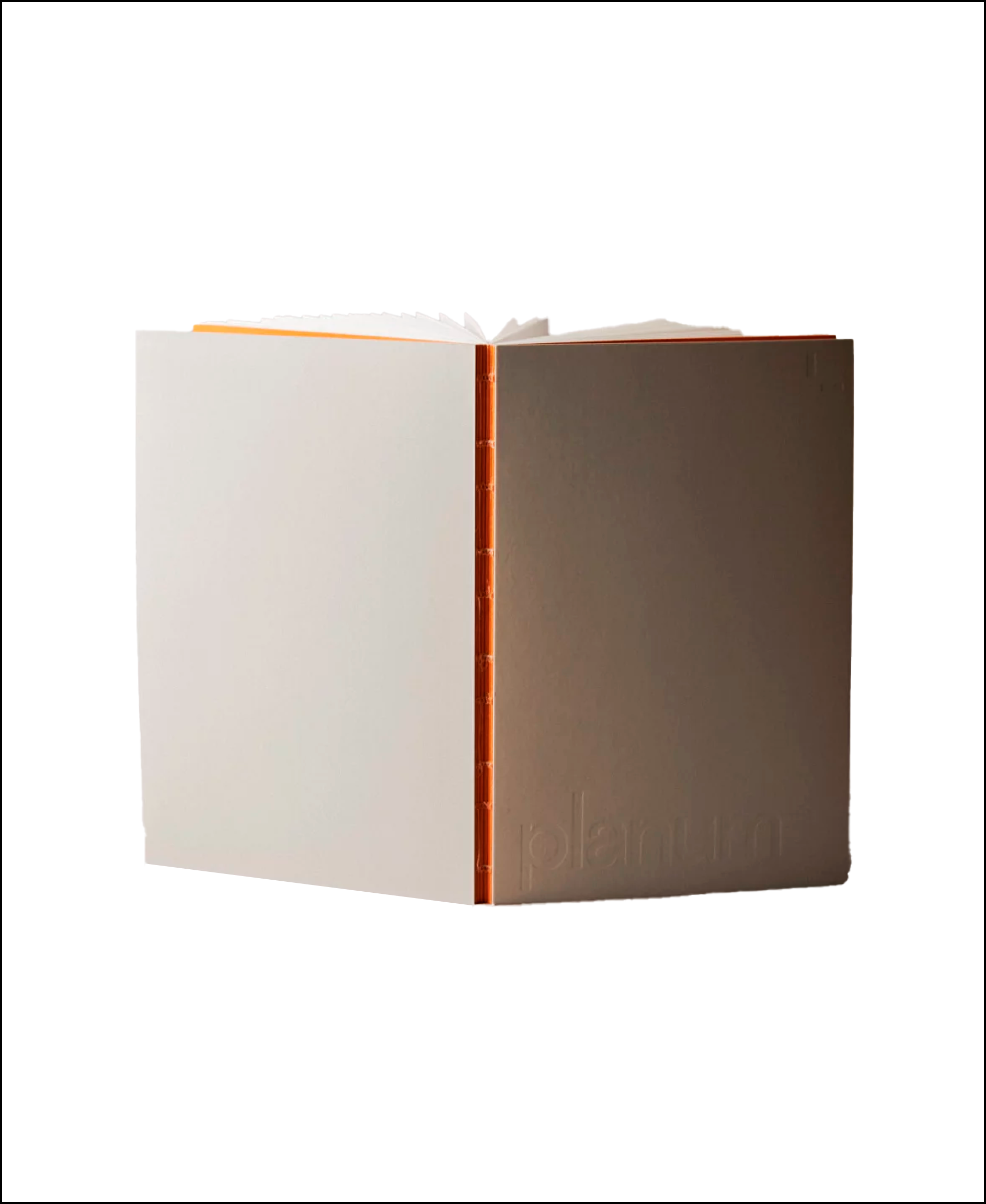 На каждый день и для важных мыслей: выбираем планер у Planum Books (фото 4)