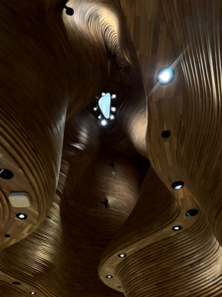 Новая точка на карте: залитый солнцем Катар (фото 31)