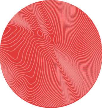 Ориентируемся по звездам: гороскоп на 2023 год (фото 67)