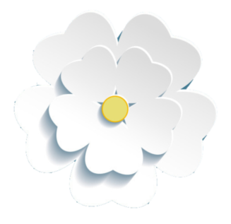 Урюк в Узбекистане, магнолия в Сочи, маральник на Алтае: 5 направлений для флоритуризма этой весной (фото 21)