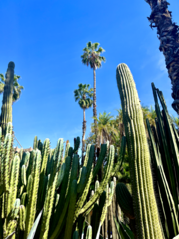 Новая точка на карте: красочный Марракеш (фото 18)