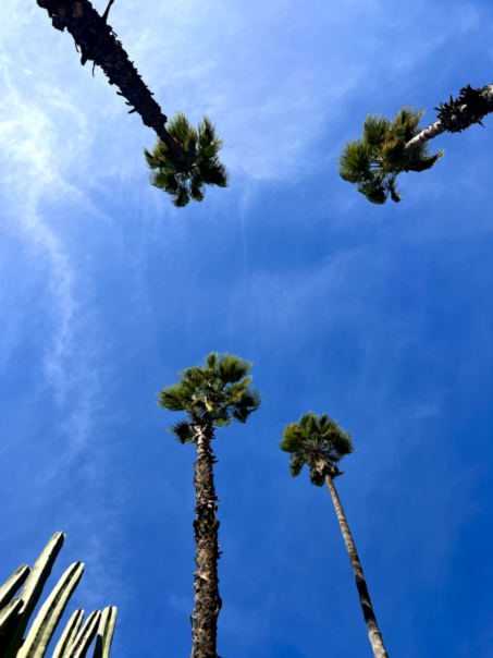 Новая точка на карте: красочный Марракеш (фото 34)