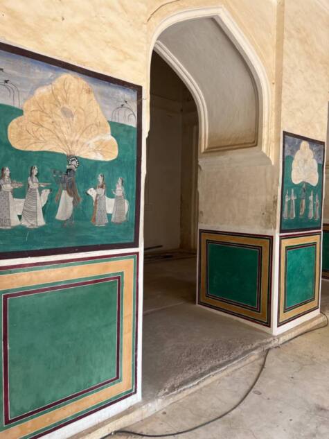 Новая точка на карте: континентальная часть Индии (фото 31)