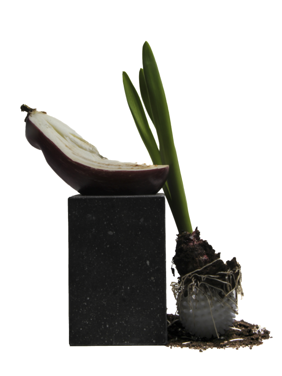 Свеча с ароматом земли, шелковый шампунь и другие бьюти-новинки недели (фото 2)